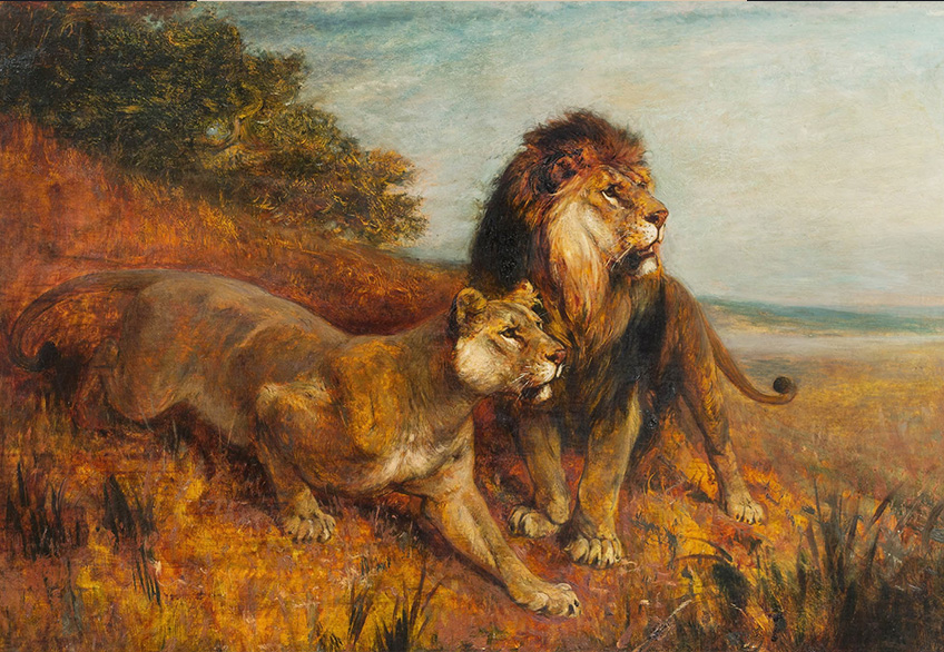 Der König der Löwen - Paul Meyerhem PRESSE