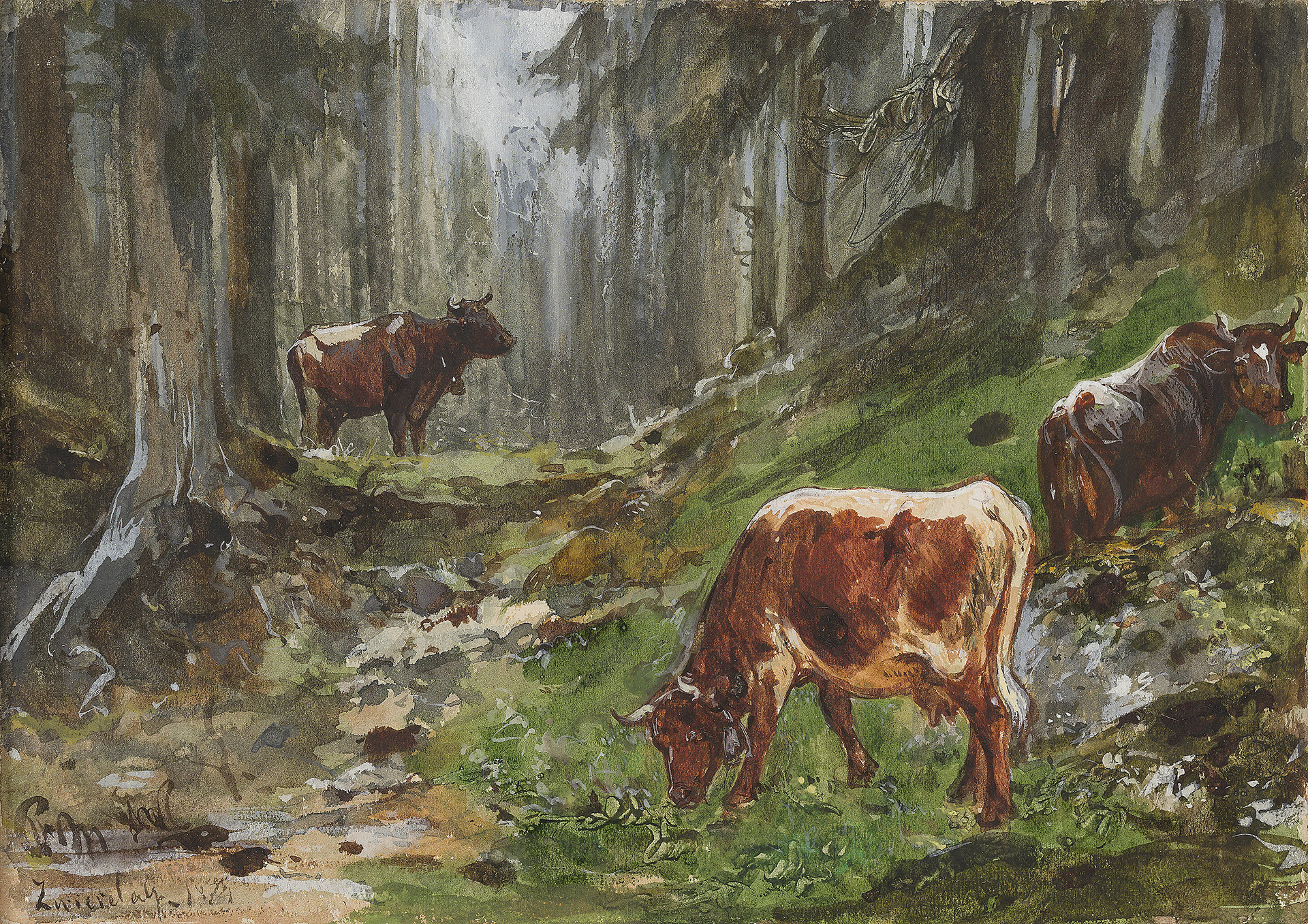 Kühe im Gebirgswald
